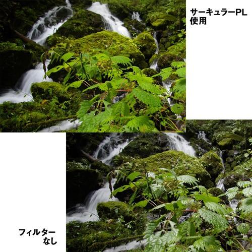 HAKUBA（ハクバ） 【アウトレット 訳あり特価】 S（スクリュー）ワイド