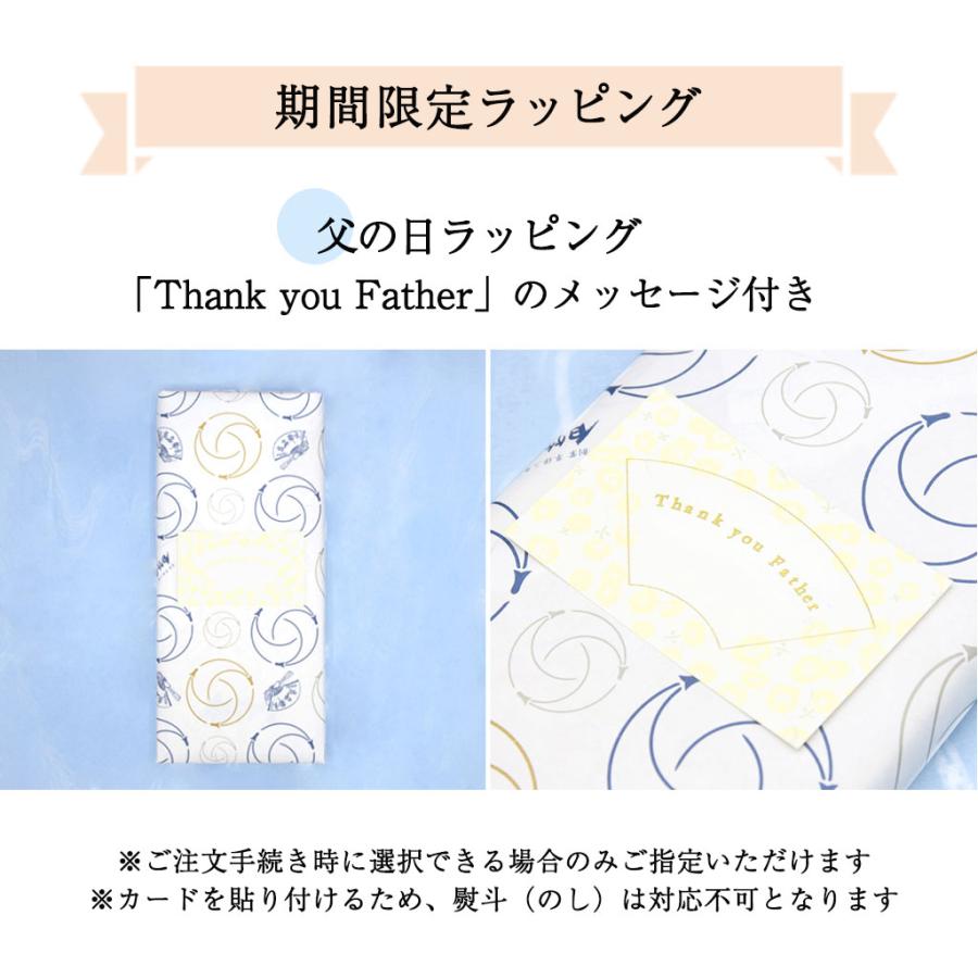 飾り扇子 さくら 黒塗 9寸5分 飾扇子 扇子立て 紙箱セット 贈り物 縁起物 プレゼント インテリア 海外 日本製 創業1718年 京都老舗 扇子の白竹堂_9
