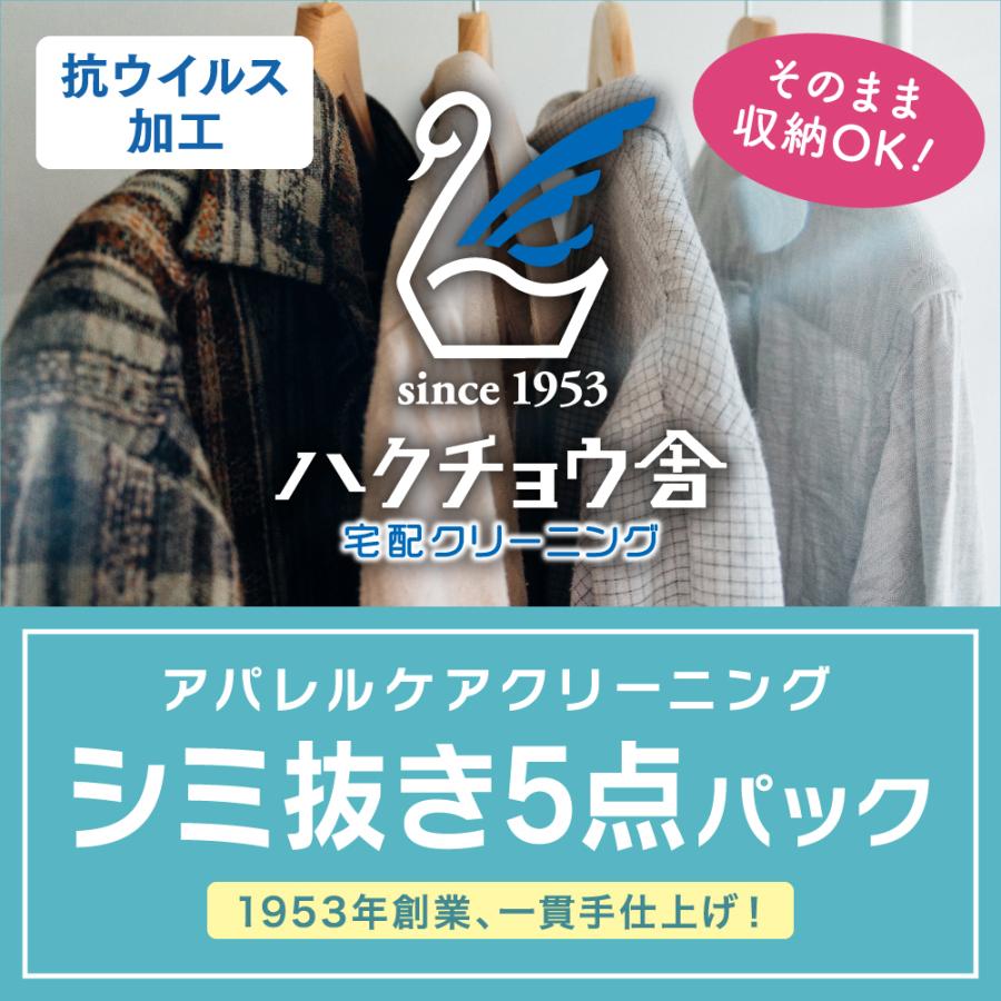 クリーニング 宅配 シミ抜き5点パック 詰め放題 送料無料 ダウン ジャケット コート 衣替え 丁寧仕上げ 高品質