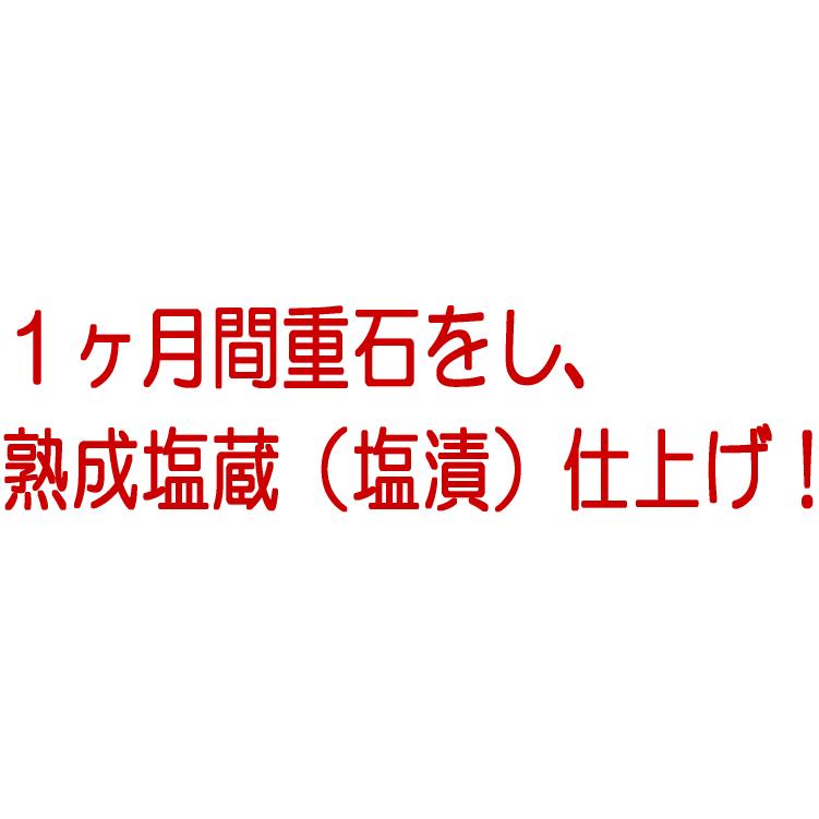 塩鯨：500g　九州地方の伝統クジラ料理　塩くじら　汐くじら｜hakudai｜02