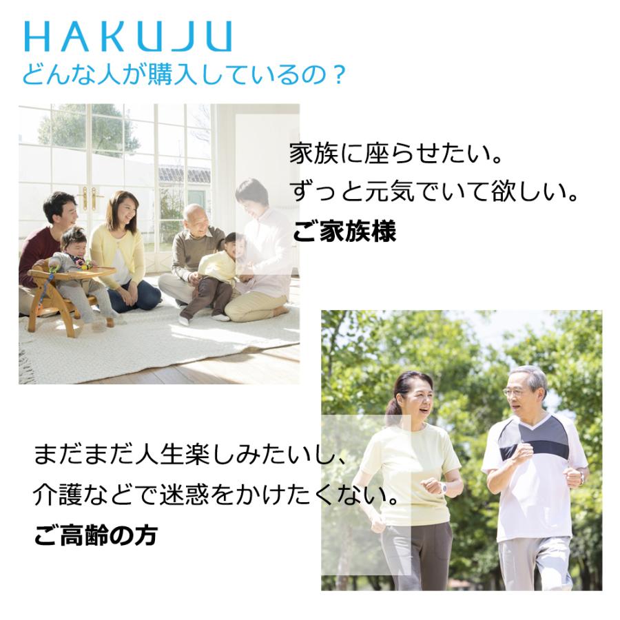 ヘルストロン すやや メーカー保証 寝具タイプの電位治療器 白寿生科学