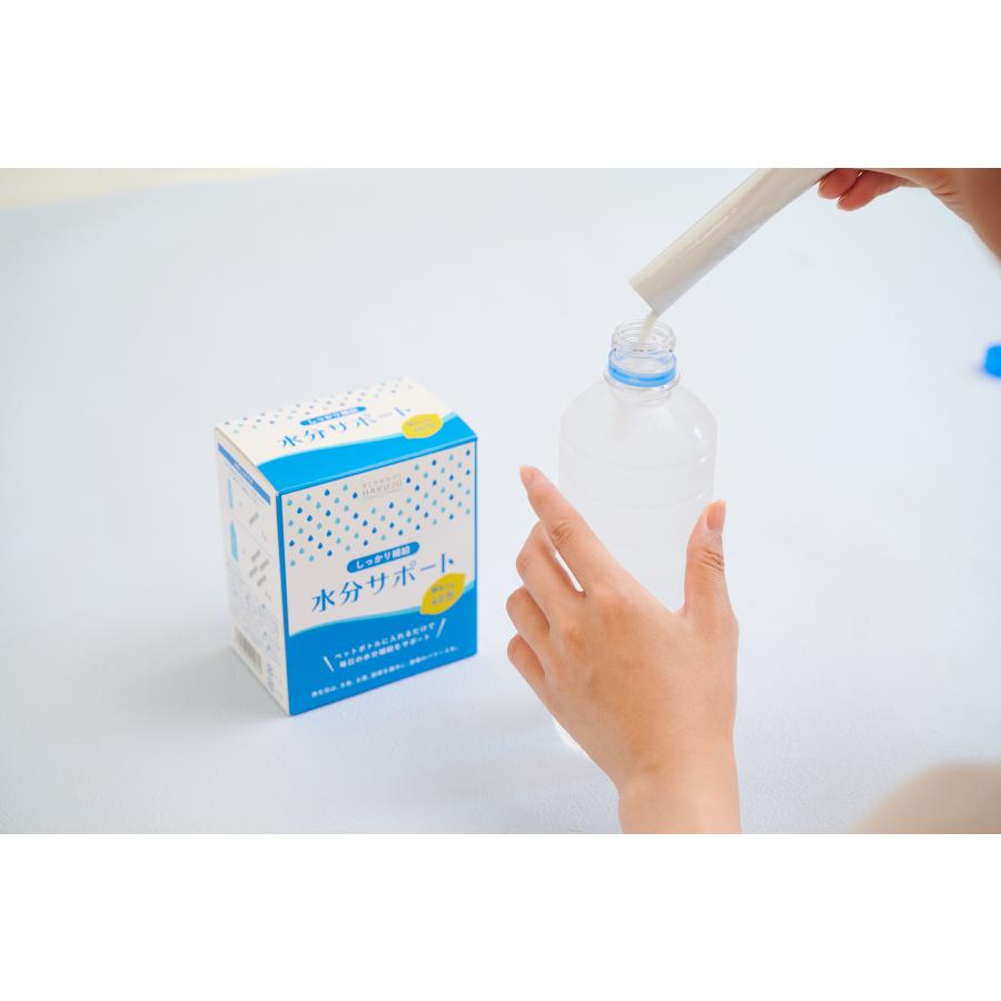 しっかり補給 水分サポート(5個セット) 完全未開封、未使用 しっかり補給 水分サポート ほのかなレモン風味 粉末清涼飲料