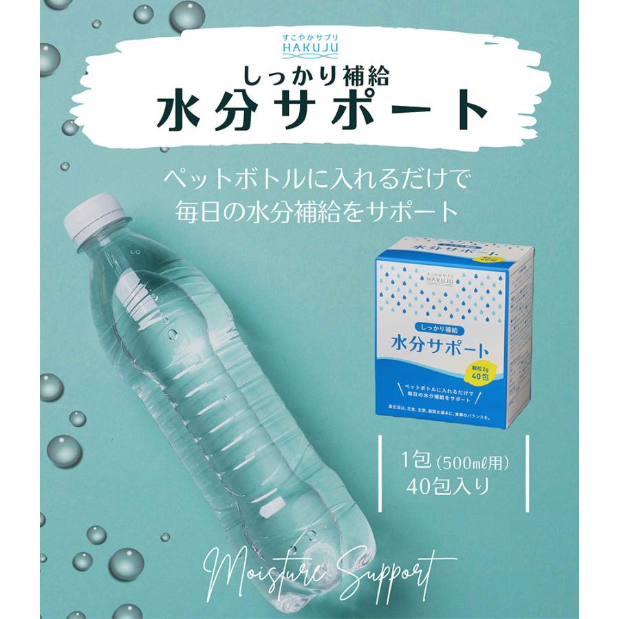 しっかり補給 水分サポート ほのかなレモン風味 粉末清涼飲料 : ハク