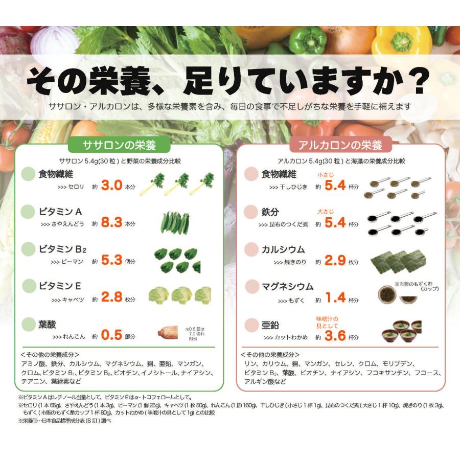 2個セット　計量スプーン付き アルカロン ササロン 食物繊維サプリ 各1 2種類 162g入り（約1ヶ月分） アルカロン ササロン その他 加工食品