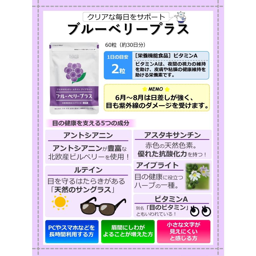ブルーベリープラス 60粒（約30日分） アスタキサンチン・ルテイン 
