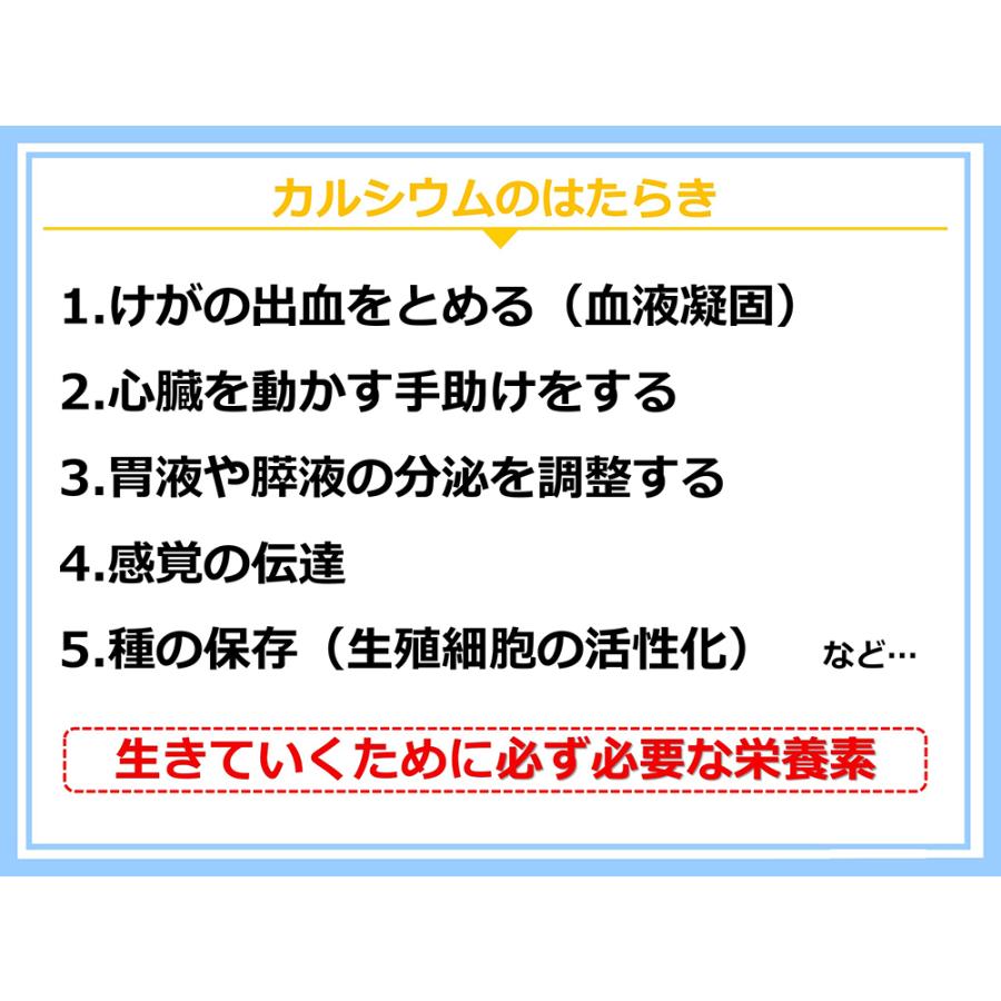 イオン化カルシウム飲料セット【エルカクラブ】エルイオンカルシウム