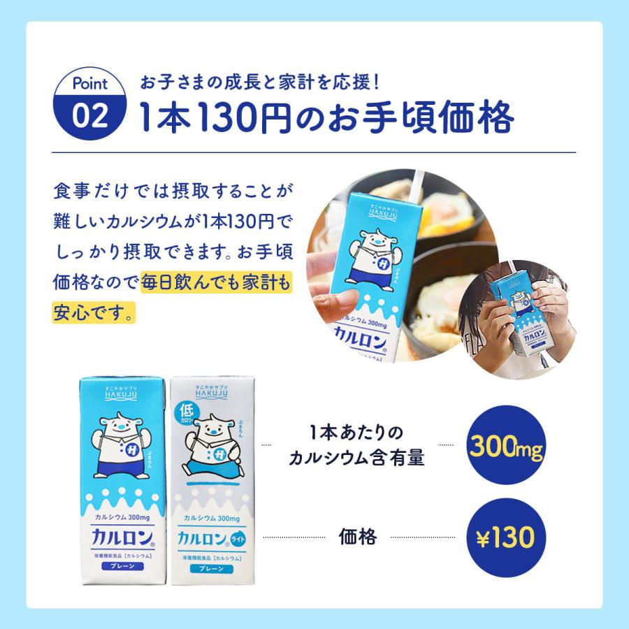 白寿　カルロン　パイナップル　プレーンライト 白寿 カルロン パイナップル プレーンライト - メルカリ