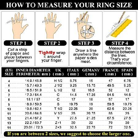ステンレススチール ハート/クラダ 火葬骨壺リング 遺灰用 ロケットリング メモリアルジュエリー(ギフトボックス付き)， 金属， キュービックジルコニア 