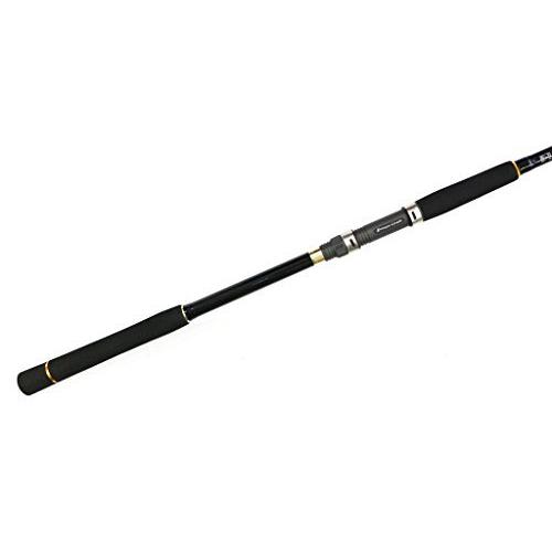 ブランド メジャークラフト 釣り竿 スピニングロッド ファーストキャスト シーバスfcs 1002m A B016py4lzo 24 薄利多売堂 通販 Yahoo ショッピング 通販 限定価格送料無料 Pp We Act Fr