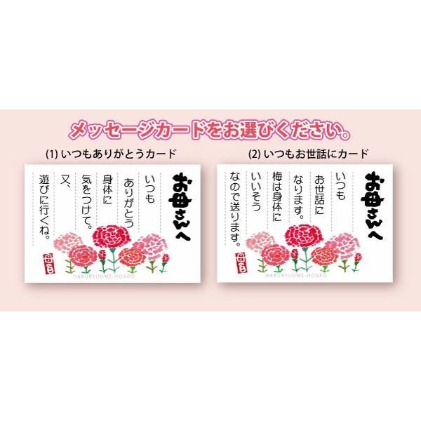 遅れてごめんね 母の日 ギフト 特選紀州南高梅 計12包 詰合 「いつもありがとう」 白龍梅6包 大粒 はちみつ梅 和み梅6包 送料無料 梅干 カーネ カード付｜hakuryuan｜03