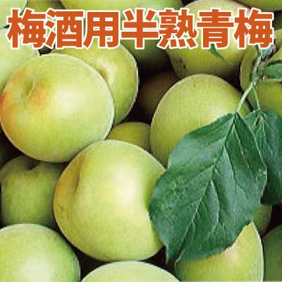 Ginger掲載商品 予約販売 紀州南高梅 梅酒用 半熟青梅 ２ｋｇ 紀州みなべ 自家梅園産 生梅 和歌山 ６月上旬より順次発送予定 送料無料 Wantannas Go Id