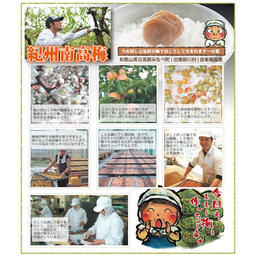 梅干し 大粒 はちみつ 紀州南高梅 和み梅 500g 化粧箱 塩分５％ 特選 和歌山 みなべ 梅干 自家梅園産 送料無料 お歳暮｜hakuryuan｜04