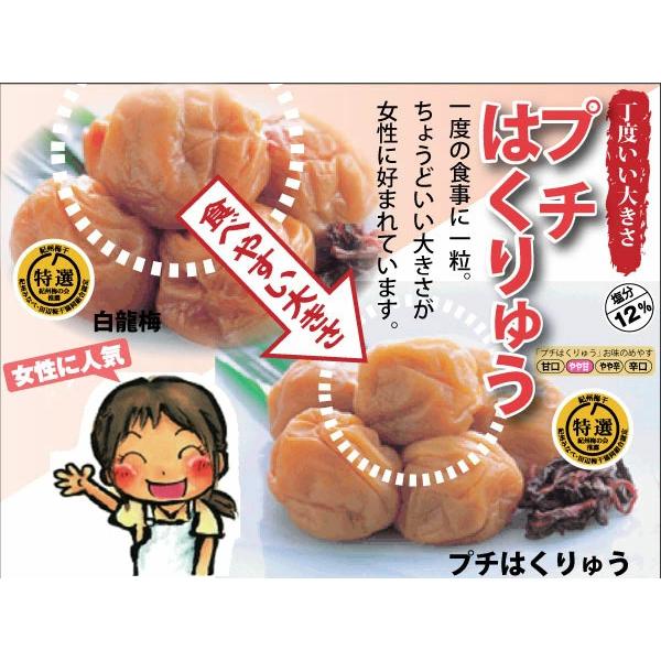 梅干し 特選 紀州 南高梅 プチはくりゅう 20個入 塩分約12％ 和歌山