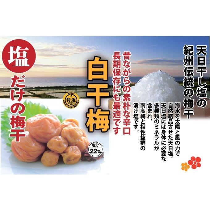 95 Off 特選 紀州南高梅 白干梅 100g 簡易包装 塩分約22 和歌山 みなべ 梅干 産直 Wantannas Go Id