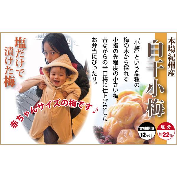 紀州 小梅干 白干小梅 1kg 化粧箱入 和歌山 みなべ 自家梅園産 送料 