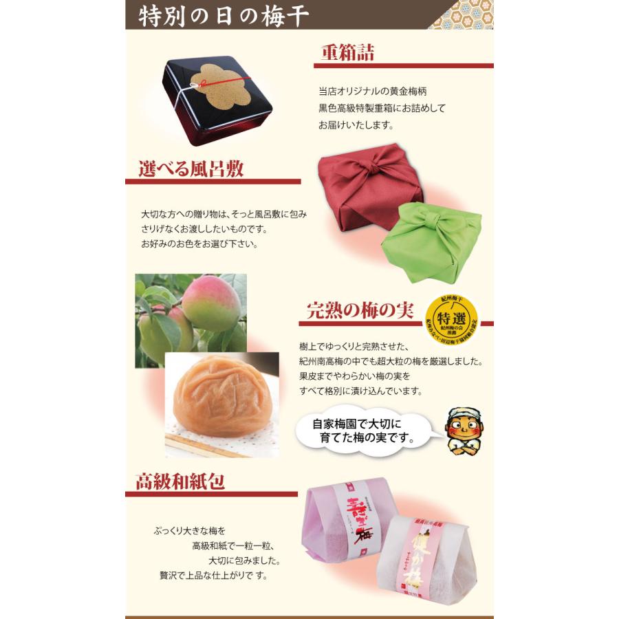 特別の日の梅干 二段重 高級和紙包 梅 2種 健か梅 寿ぎ梅 黒重箱 特選