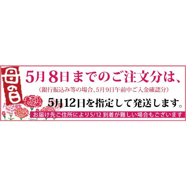 遅れてごめんね 母の日 ギフト 選べる カーネーション カード付 紀州南高梅 特大粒 はちみつ 梅 2種詰 特別の日の 梅干 赤重箱 一段重 送料無料｜hakuryuan｜07