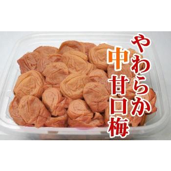 訳あり 1g当たり1.2円の梅干し1000g（500g×2） 5個(合計5000g)ご