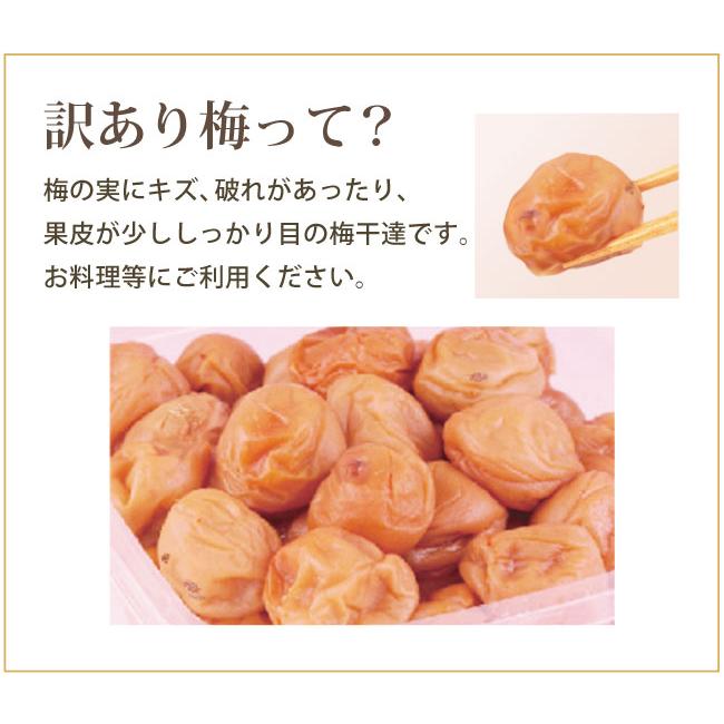 梅干し 訳あり はちみつ梅 得々 900g 塩分約5％ 自家梅園産 紀州