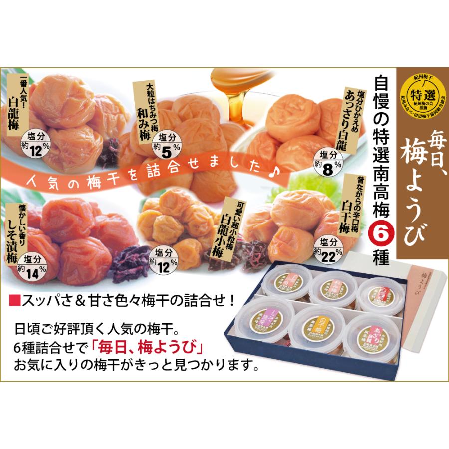 梅ようび 特選 紀州 南高梅 6種 各100g 詰合せ 自家梅園産 完熟南高梅