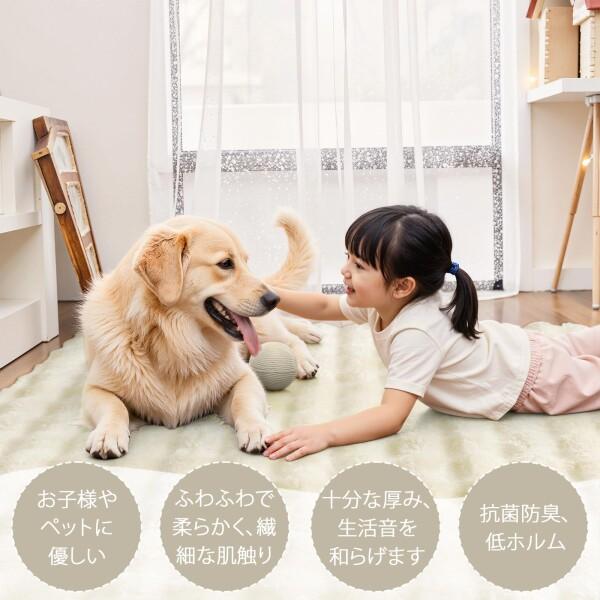 HAOCOO カーペット 約3畳 洗える ラグ 200х250cm ラビットファー調 厚手 シャギー ふわふわ 滑り止め_1
