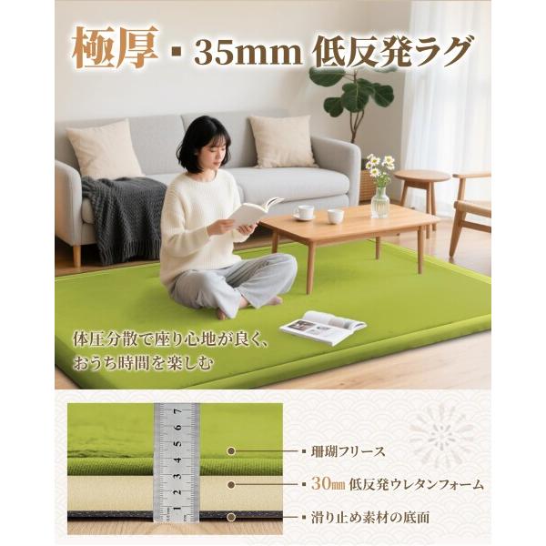 Huloo Sleep 極厚3.5cm 低反発ラグマット 厚手 クッション カーペット 防音 すべり止め 珊瑚絨毯 リビ