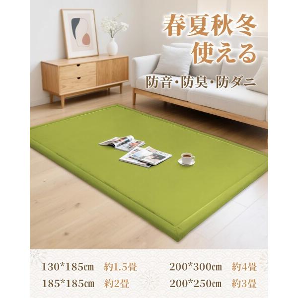 Huloo Sleep 極厚3.5cm 低反発ラグマット 厚手 クッション カーペット 防音 すべり止め 珊瑚絨毯 リビ