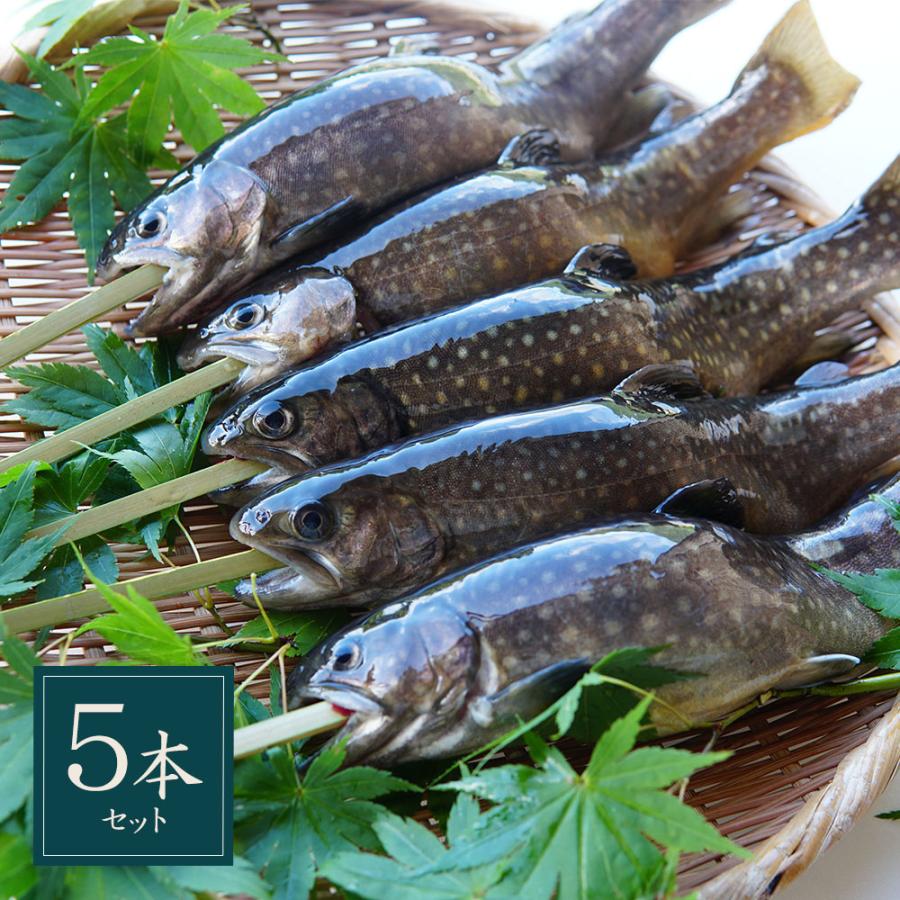イワナ 岩魚 冷凍 川魚 養殖 骨酒 塩焼き 誕生日 ギフト 加熱用 10尾 串なしタイプ Hd002 淡水養魚場 白山堂 Yahoo 店 通販 Yahoo ショッピング