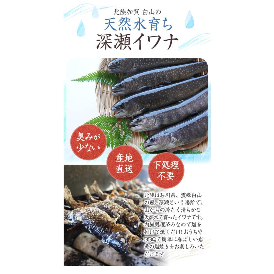 イワナ 岩魚 冷凍 川魚 養殖 骨酒 塩焼き 誕生日 ギフト 加熱用 10尾 串なしタイプ Hd002 淡水養魚場 白山堂 Yahoo 店 通販 Yahoo ショッピング