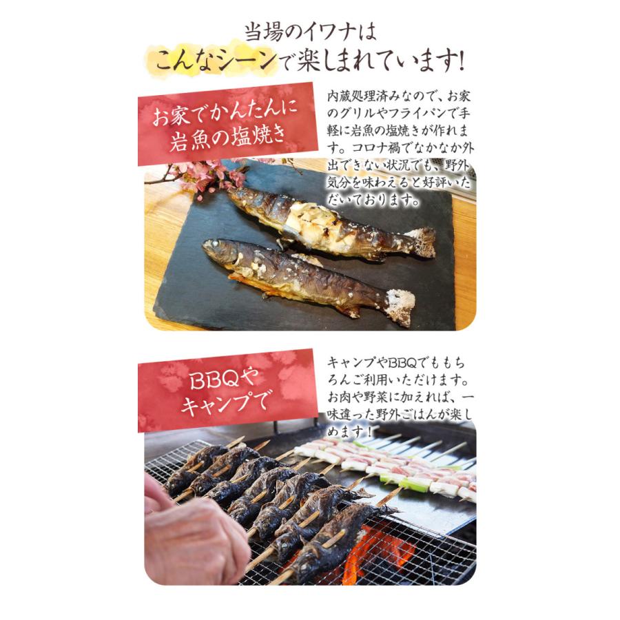 イワナ 岩魚 冷凍 川魚 養殖 骨酒 塩焼き 誕生日 ギフト 加熱用 10尾 串なしタイプ Hd002 淡水養魚場 白山堂 Yahoo 店 通販 Yahoo ショッピング