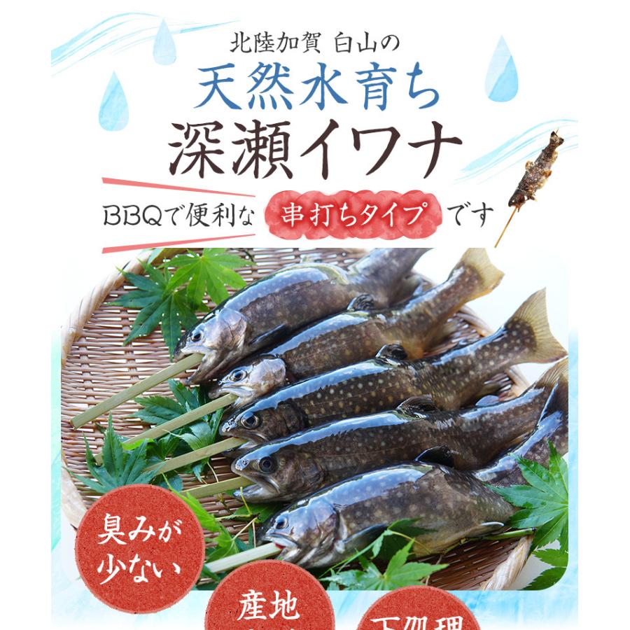 イワナ 岩魚 串打ち 冷凍 加熱用 5本 串焼き 岩魚 いわな 川魚 養殖 冷凍 下処理済 個包装 串なし のし 熨斗 対応可 贈り物 ギフト Hd003 淡水養魚場 白山堂 Yahoo 店 通販 Yahoo ショッピング