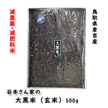 減農薬・減肥料 鳥取県倉吉産 令和4年産 黒米 玄米「大黒米」500g｜hakusanmeisui｜02