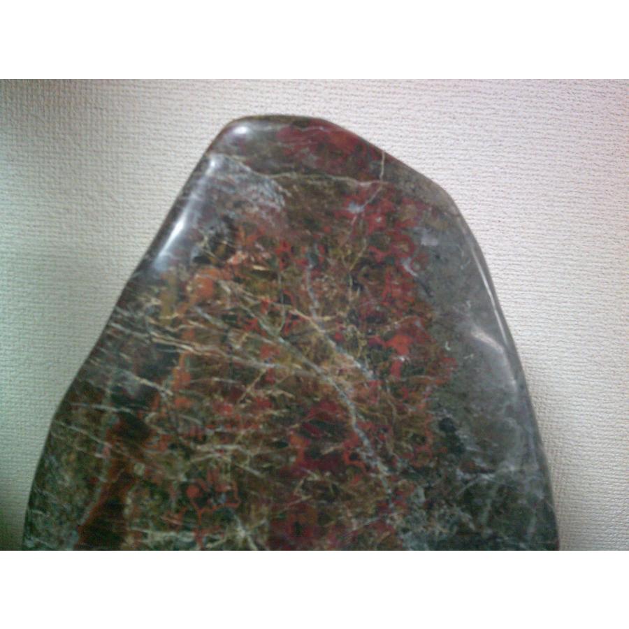 根尾谷産桜石19_5
