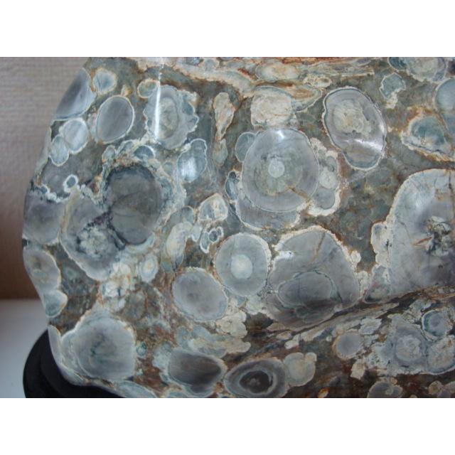 （b-55）最高級の越前紋石（参考） hakusanmonsekian_em007