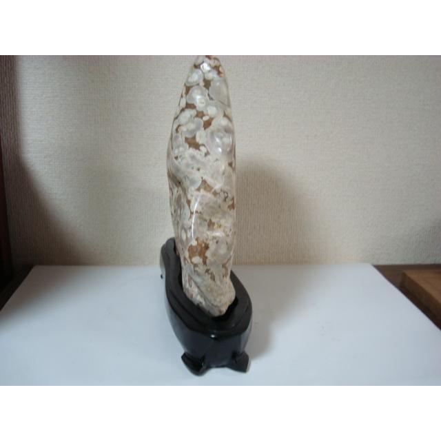 越前紋石21 : 白山紋石庵 - 通販 - Yahoo!ショッピング