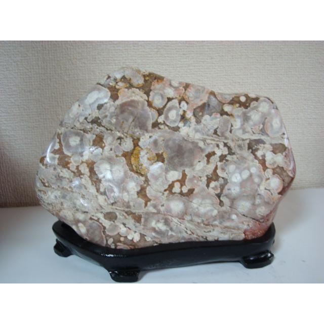 越前紋石14 : 白山紋石庵 - 通販 - Yahoo!ショッピング