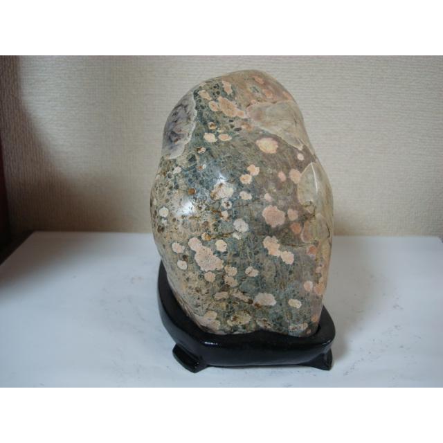 越前紋石34 : 白山紋石庵 - 通販 - Yahoo!ショッピング