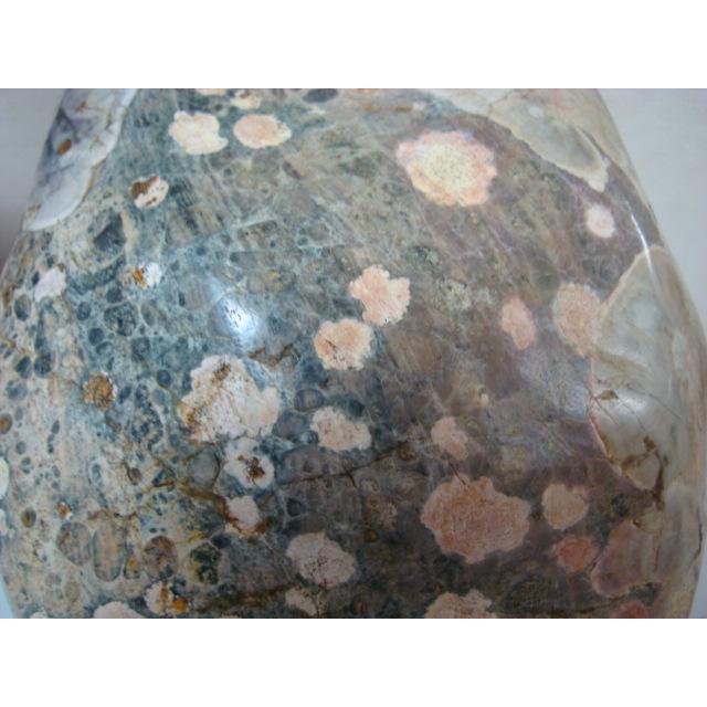 越前紋石34 : 白山紋石庵 - 通販 - Yahoo!ショッピング