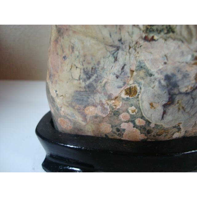 越前紋石34 : 白山紋石庵 - 通販 - Yahoo!ショッピング