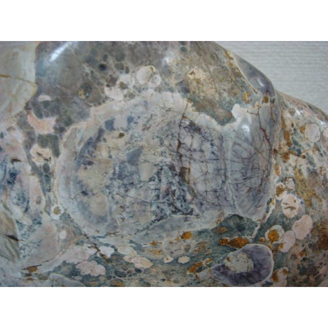 越前紋石34 : 白山紋石庵 - 通販 - Yahoo!ショッピング