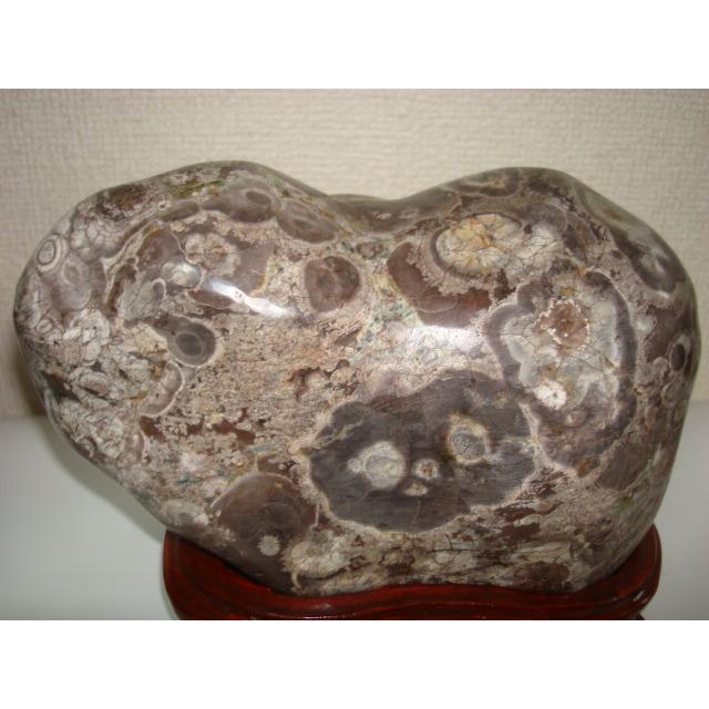 白山紋石牡丹39 : 白山紋石庵 - 通販 - Yahoo!ショッピング