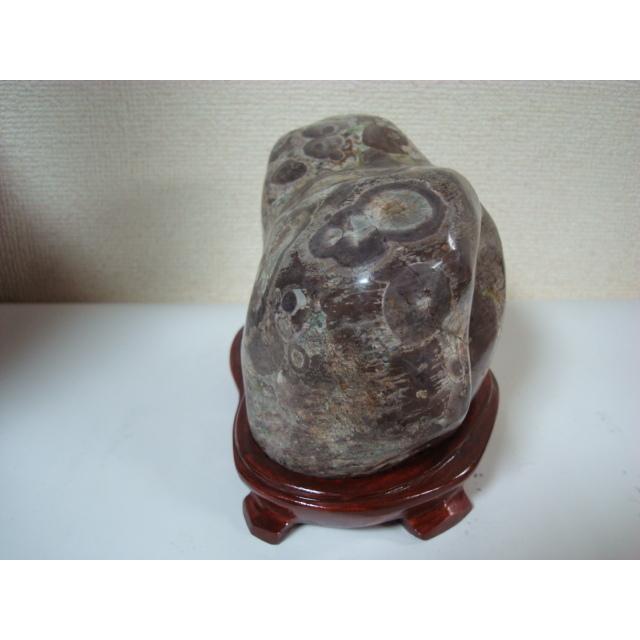 白山紋石牡丹39 : 白山紋石庵 - 通販 - Yahoo!ショッピング