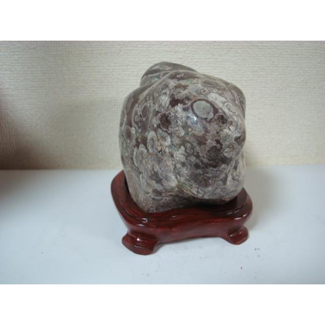 白山紋石牡丹39 : 白山紋石庵 - 通販 - Yahoo!ショッピング