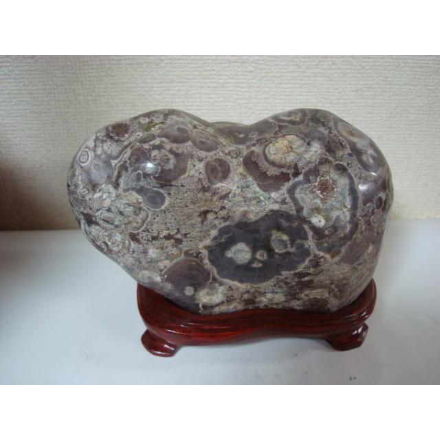 白山紋石牡丹39 : 白山紋石庵 - 通販 - Yahoo!ショッピング