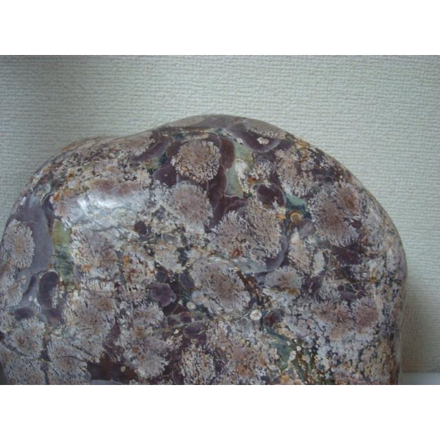 白山紋石49 : 白山紋石庵 - 通販 - Yahoo!ショッピング