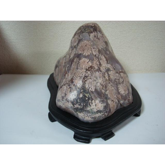 白山菊紋石29 : 白山紋石庵 - 通販 - Yahoo!ショッピング