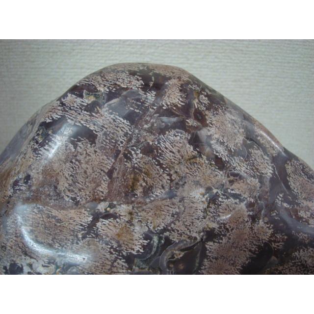 鑑賞用の石・室内飾り『白山紋石や飛騨の菊紋石』￼約9.7kg 鑑賞用の石・室内飾り『白山紋石や飛騨の菊紋石』約
