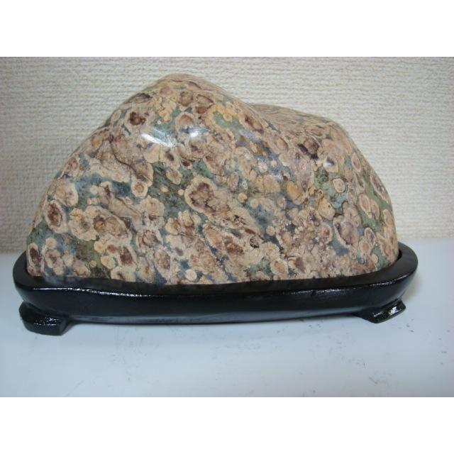 （b-68）白山紋石（参考） 2025年最新】白山紋石の人気アイテム - メルカリ