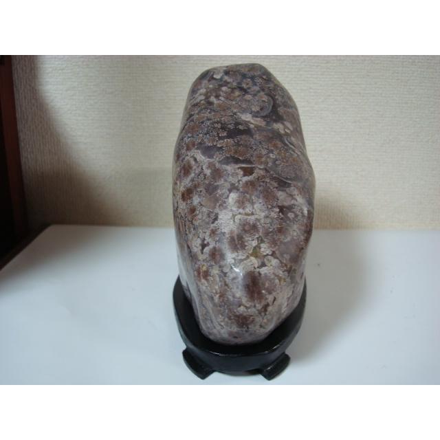 白山菊紋石32 : 白山紋石庵 - 通販 - Yahoo!ショッピング