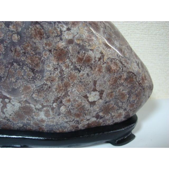 白山菊紋石32 : 白山紋石庵 - 通販 - Yahoo!ショッピング